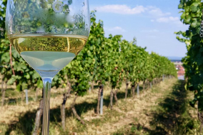 Private Half Day Wine Tasting tour: Road Of The Doges - Appetizers That Don’t Fight the Wine
