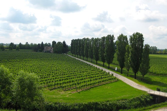 Private Half Day Wine Tasting tour: Road Of The Doges - Time on Site: How the Half-Day Really Feels