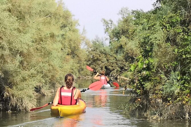 Private Kayak Tour in the Venetian Lagoon - Key moments you’ll care about