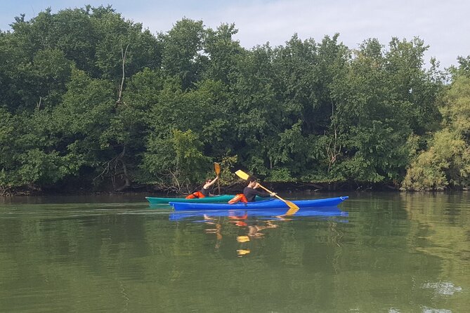 Private Kayak Tour in the Venetian Lagoon - Why this Venetian Lagoon kayak beats a city-walk