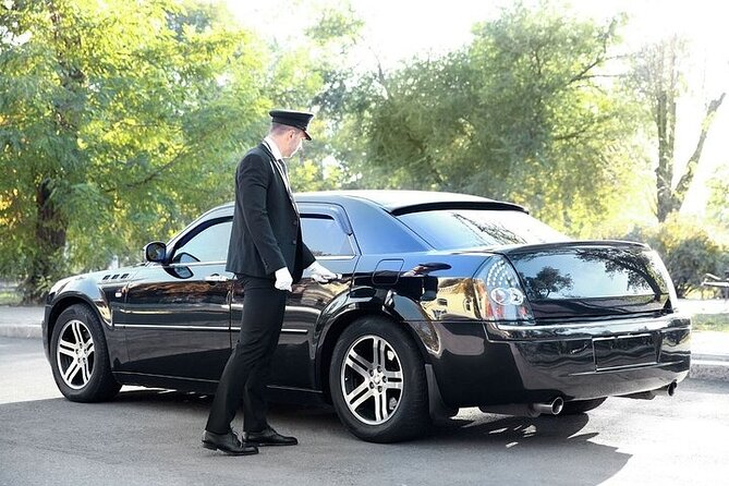 Private One-way Airport Transfer Venice Airport to Venice - Tips to make your arrival feel smooth (useful before you ever land)