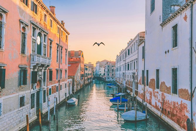 Private Tour: Venice Art and Architecture Walking Tour - Accessibility of experiences like this (and what you should ask first)