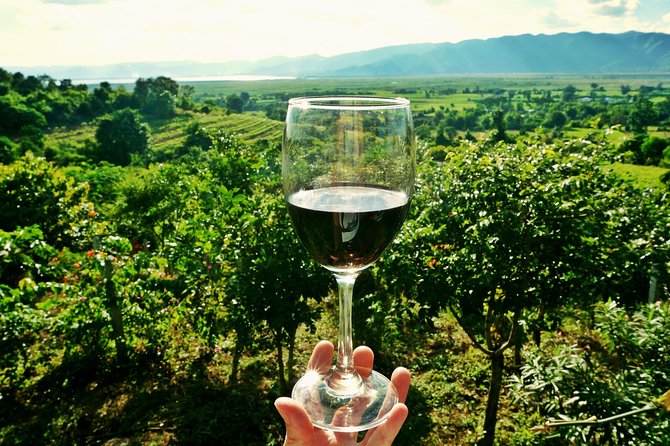 Private Valpolicella Day Trip from Venice: Wine Tasting and Verona - Verona in 3 Hours: How to Spend It Without Stress