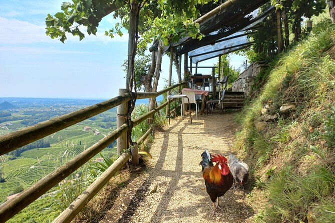 Prosecco Hills Day Trip from Venice & Treviso: 2 Wineries - Stop Two: Another Iconic Winery With 4 DOCG Tastings