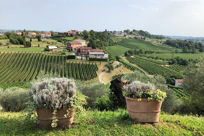 Prosecco Hills Wine and Cheese Gourmet Discovery - Price and Logistics: is $165.61 actually good value?