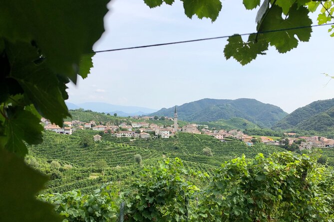 Prosecco Hills Wine and Cheese Gourmet Discovery - Should you book Prosecco Hills Wine and Cheese from Venice?
