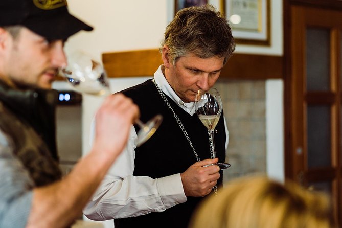 Prosecco Wine Tour (all-inclusive full day with lunch and expert wine guide) - Your wine guide and the translation that makes it click