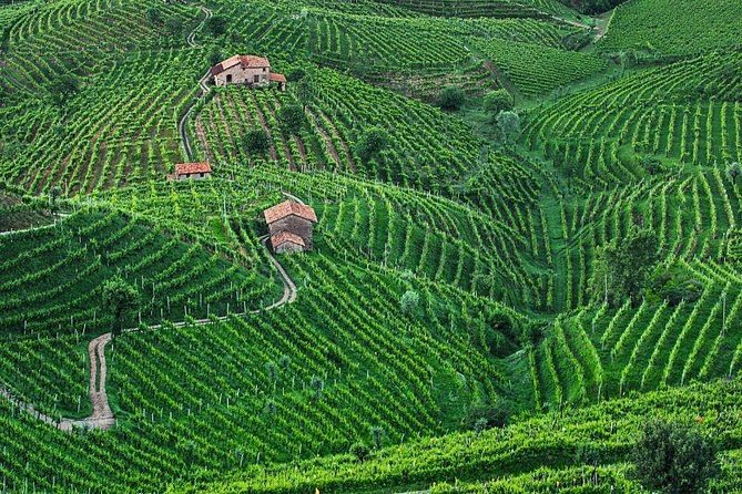 Prosecco Wine Tour. Full day from Venice - Prosecco tasting strategy: how to make the most of included pours