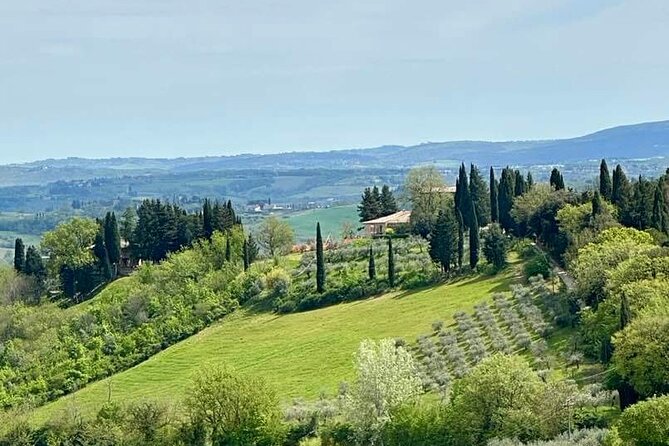 Prosecco Wine Tour. Full day from Venice - Weather, timing, and pacing for a 7-hour wine day