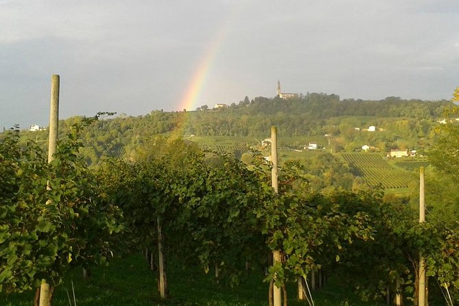 Prosecco Wine Tour. Full day from Venice - Private tour comfort: no map stress, less time wasted