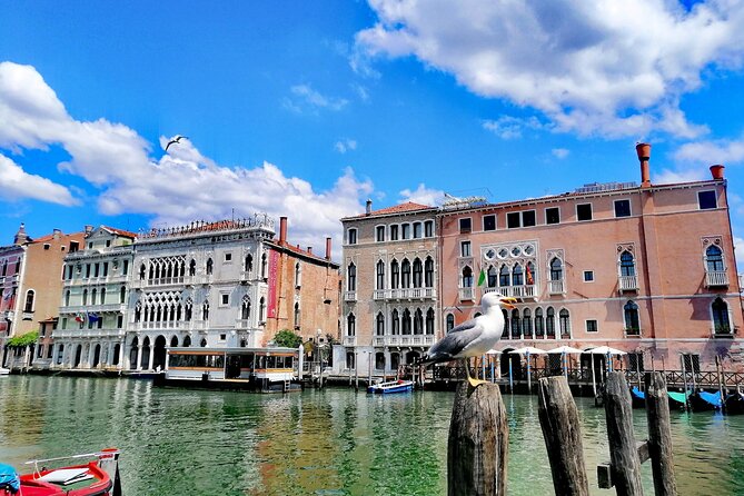 Rialto Market & Seafood Cooking Class in Murano - Who should book this Murano seafood class (and who shouldn’t)