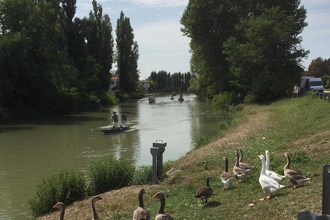Riviera del Brenta Bike Tour - Price and Value: Why $83.08 Can Actually Make Sense Here