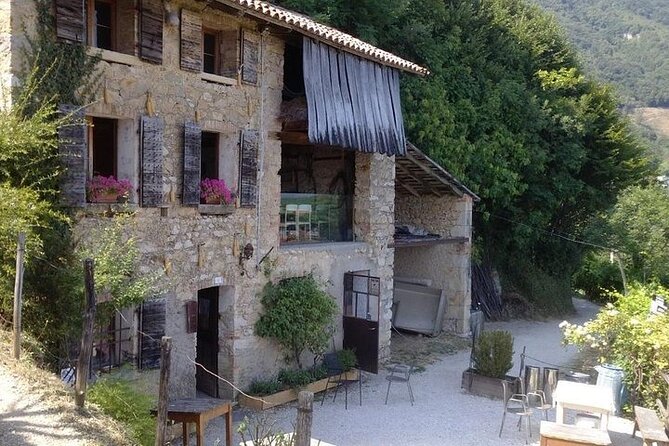 Small Group Prosecco Experience from Venice - Boutique Winery - The Van Ride Counts: How Riccardo Turns the Drive into Lessons