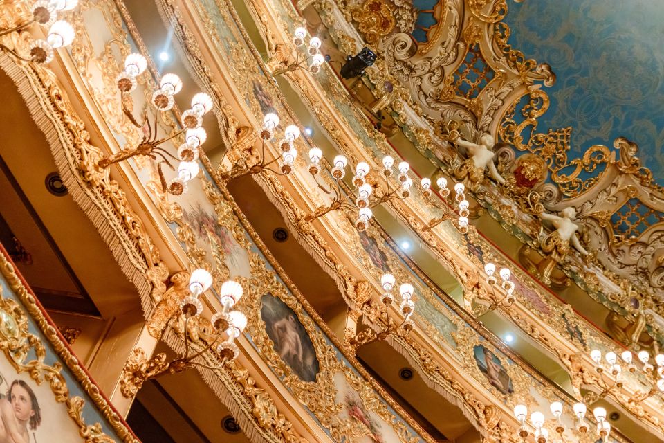 The Majestic Teatro La Fenice: Guided Tour in Venice - Who this La Fenice tour suits best