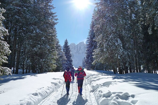 UNESCO Dolomites great expedition from Venice by Yellowboot - A small-group Dolomites day that feels like it has breathing room