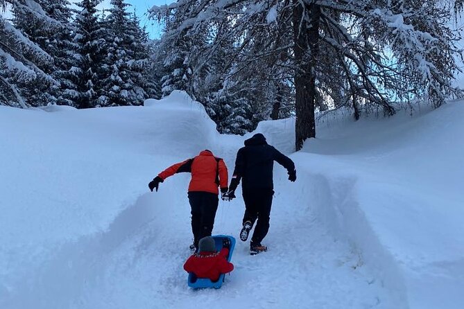 UNESCO Dolomites great expedition from Venice by Yellowboot - Belluno Dolomites: a chalet lunch stop with traditional mountain choices