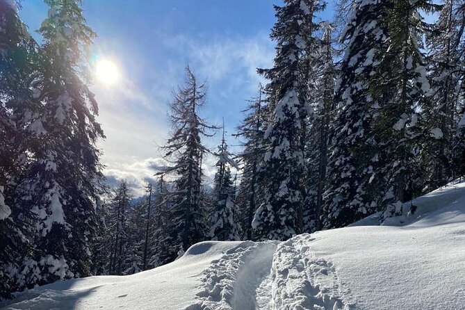 UNESCO Dolomites great expedition from Venice by Yellowboot - Tre Cime di Lavaredo and Misurina Lake: your best scenery block