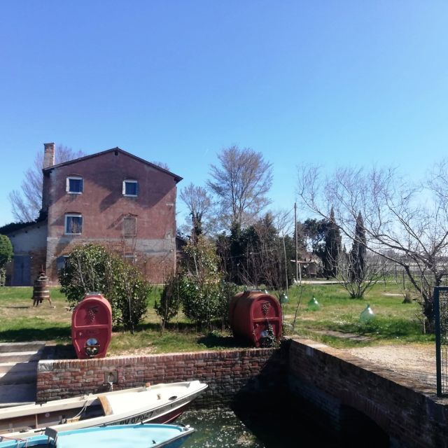 Venice: Bike Tour Honey & artichockes on Sant’Erasmo Island - Key things to know before you go