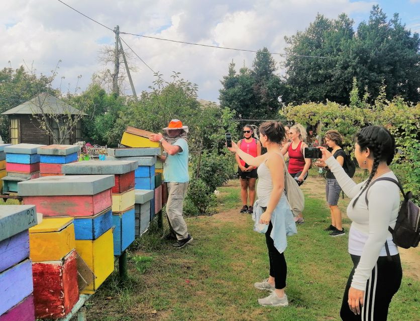 Venice: Bike Tour Honey & artichockes on Sant’Erasmo Island - Getting to Sant’Erasmo the practical way: water bus first