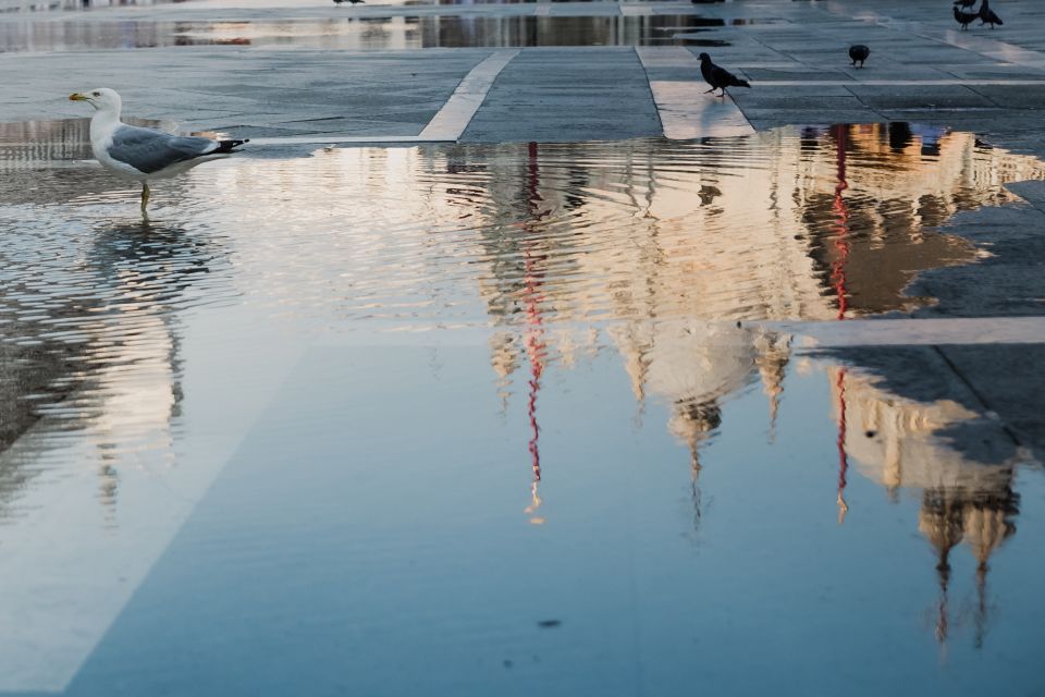 Venice: City Tour and Murano Glass Experience - The Complimentary Boat Back: Small Channels to San Marco