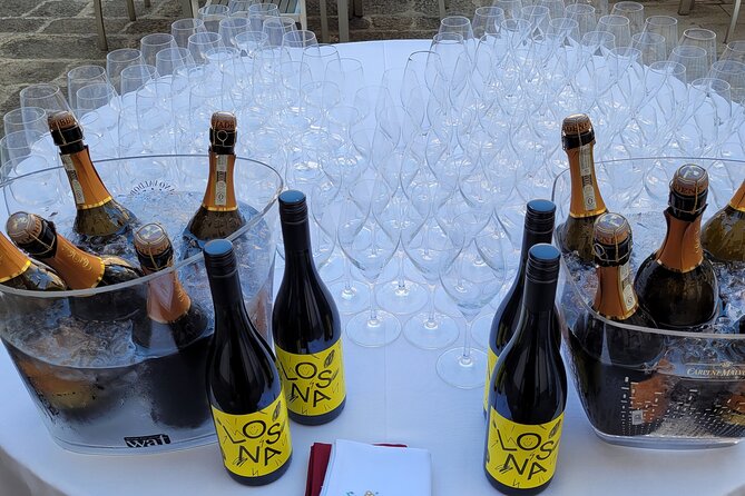 Venice like a local: Vini and Cichetti at Liuba and Hugo's home - Hugo’s homemade kitchen and Liuba’s wine guidance