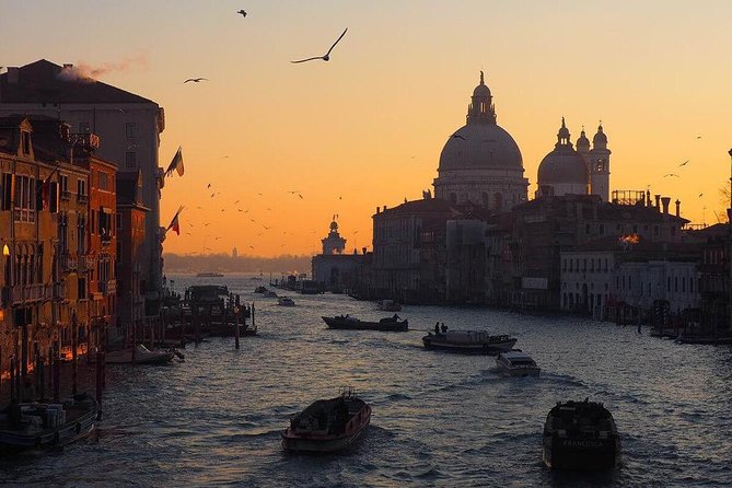 Venice Marco Polo Airport Private Arrival Transfer via Motorboat - The 30-minute lagoon ride: fast, scenic, and luggage-friendly