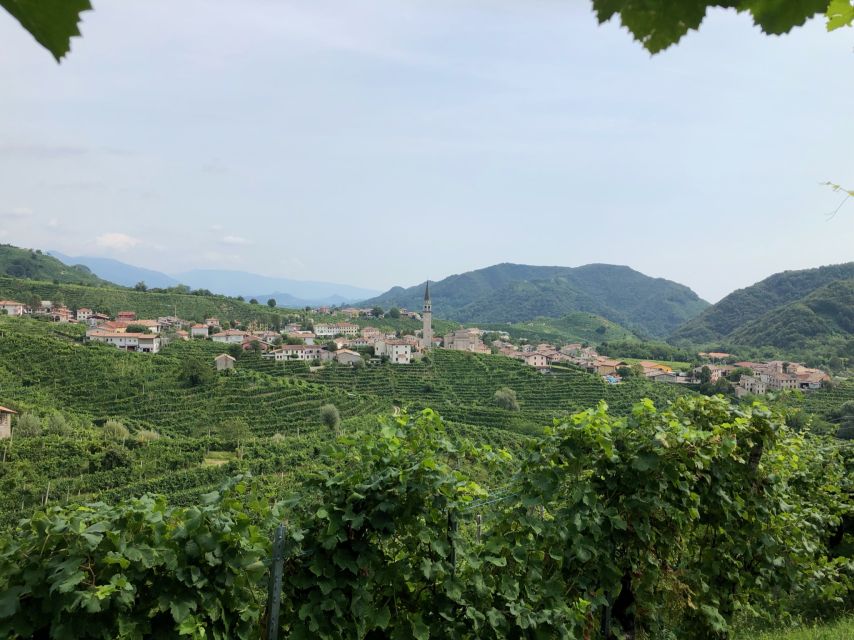 Venice: Prosecco Hills Wineries Tour with Tastings and Lunch - The Prosecco Hills tour that feels local, not scripted