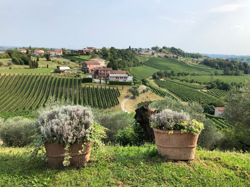 Venice: Prosecco Hills Wineries Tour with Tastings and Lunch - Lunch at a family-owned osteria with spiedo by the fire