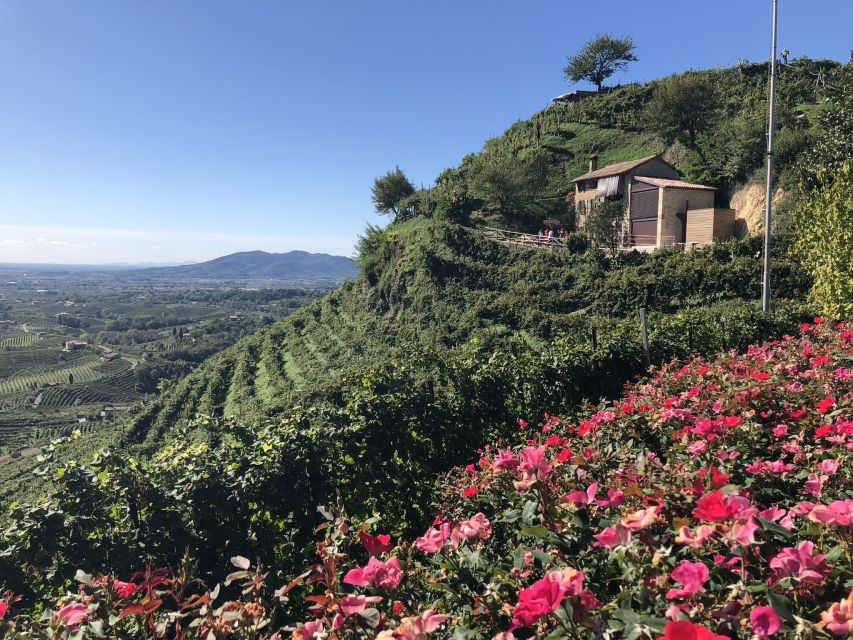 Venice: Prosecco Hills Wineries Tour with Tastings and Lunch - The real value behind the price (and where it might feel steep)