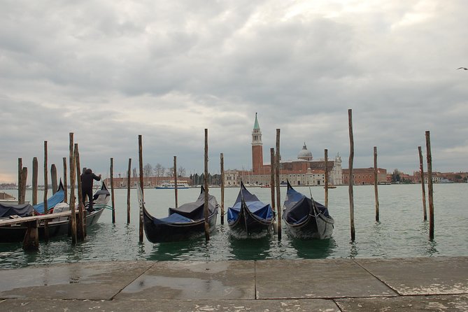 Venice Skip the Line Saint Mark's Basilica and Doge's Palace Private Tour - Who This Tour Is For