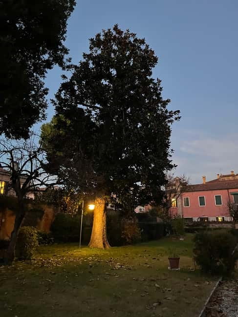 Venice: Sunrise Walking Tour with Espresso - St. Mark’s Basilica and Campanile viewpoints before the crowds