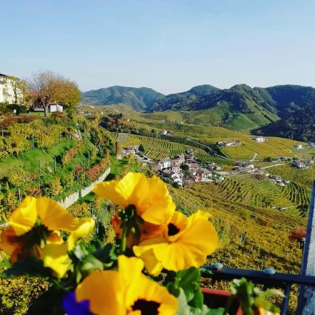 Venice: wine tour tasting along the Unesco Prosecco hills - Key moments that make this Prosecco hills tour work