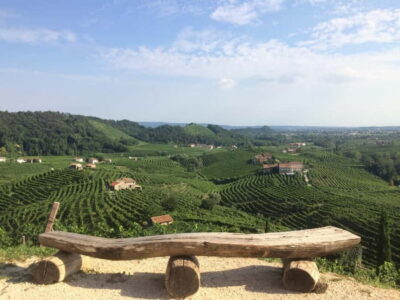 Venice: wine tour tasting along the Unesco Prosecco hills - The UNESCO Prosecco hills drive: what you’re actually seeing