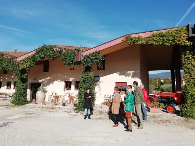 Venice: wine tour tasting along the Unesco Prosecco hills - Who should book this Prosecco hills wine tour